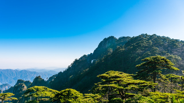 黄山白鹅岭