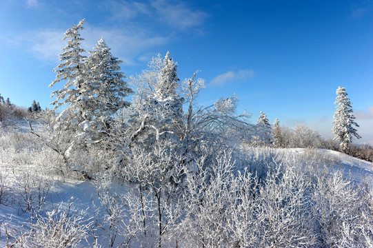 雪乡