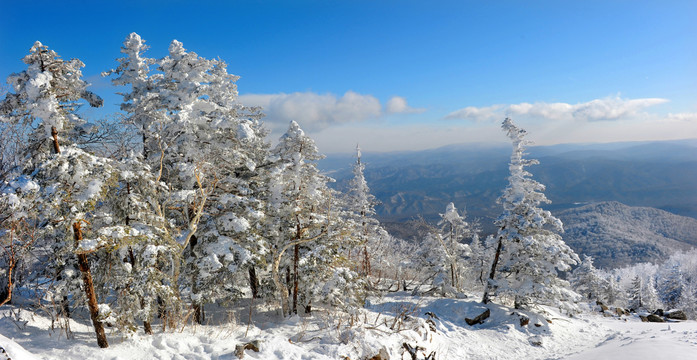 雪乡