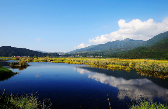 云南腾冲北海湿地