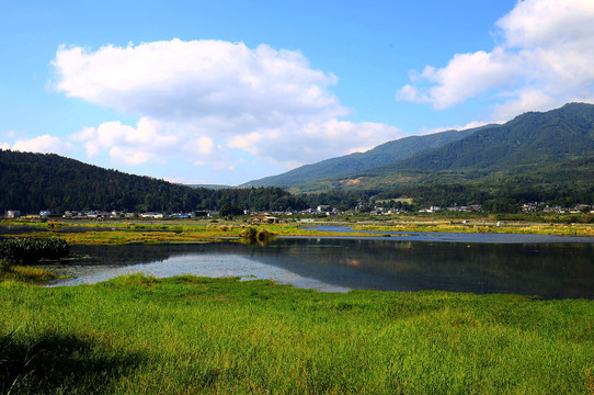 云南腾冲北海湿地