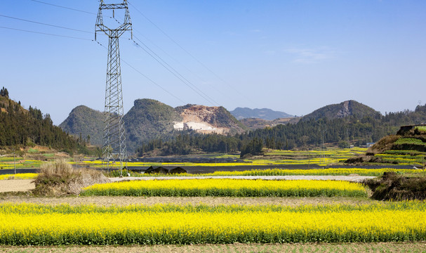 自然风景农田山川田园油菜花田