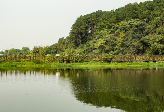 国家湿地公园倒影湖面浮桥风景