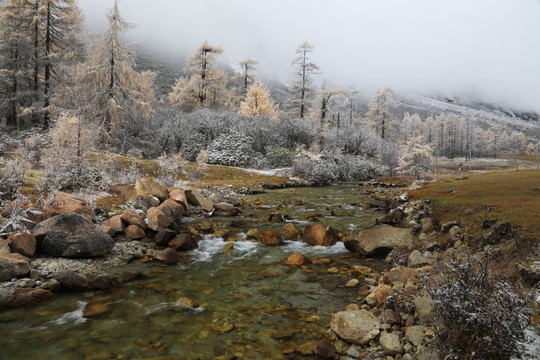 毕棚沟雪景