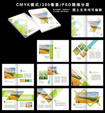 畫冊