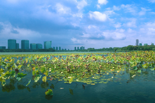 张家港暨阳湖