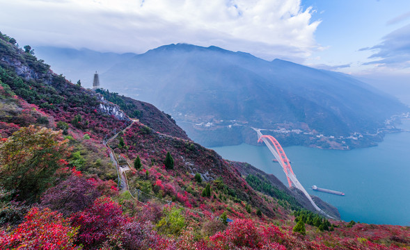 三峡红叶似彩霞