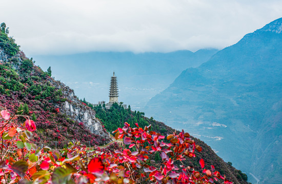 三峡红叶似彩霞