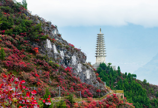 三峡红叶似彩霞