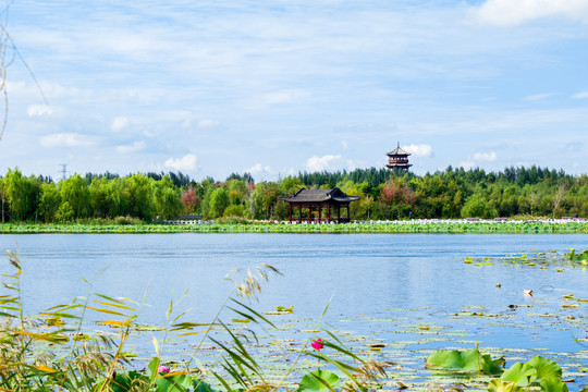 北湖湿地风光