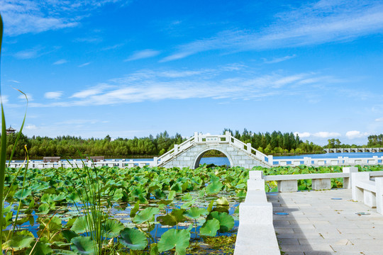 北湖湿地廊桥