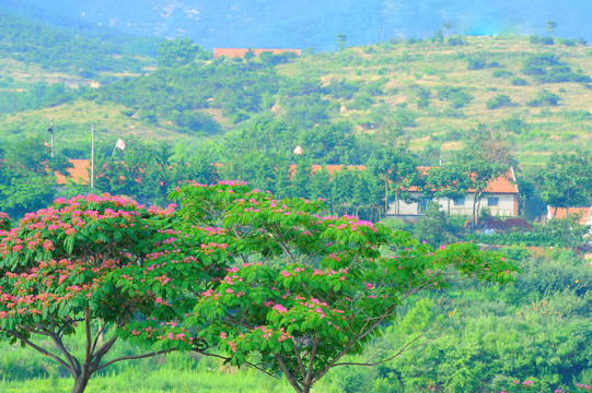 小山村