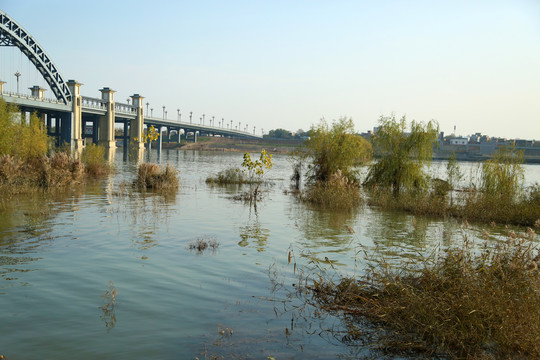 河岸