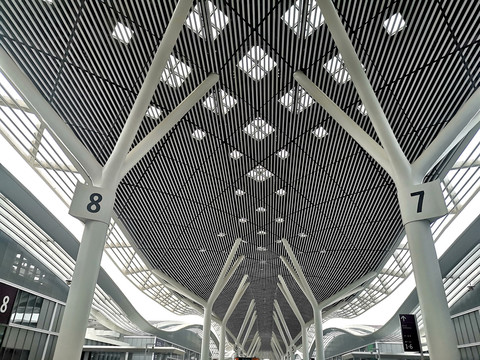 深圳国际会展中心钢构棚顶