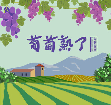 手繪葡萄