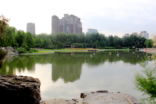 园林景观北京领巾公园