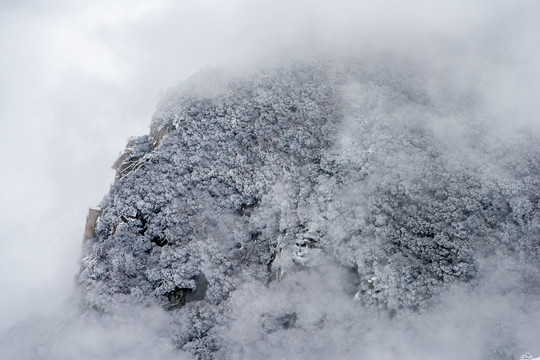 冬季华山风光