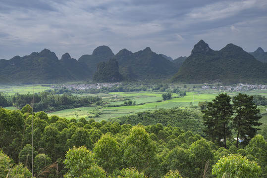 自然风景乡村田野