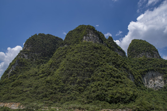 郁郁葱葱的青山绿植