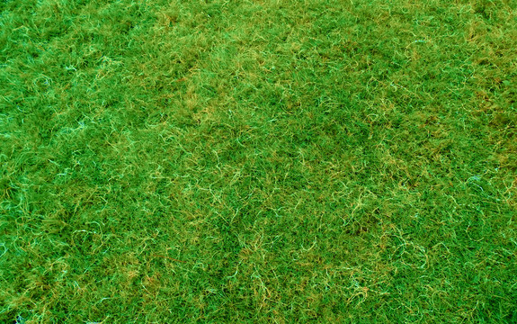 草地装饰地面