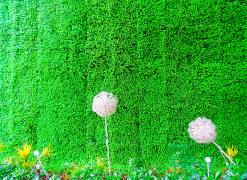 绿植墙体