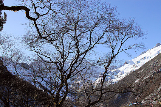 四川黃龍風(fēng)景