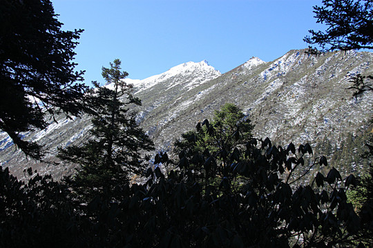 黄龙雪山