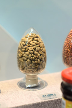 进口咖啡豆标本