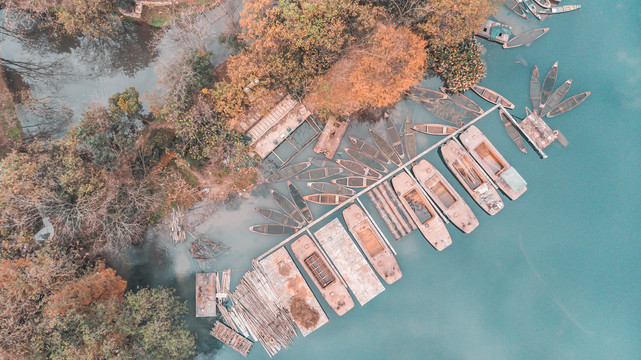 杭州西湖茅家埠秋景