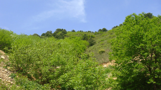 高清蓝天青山背景