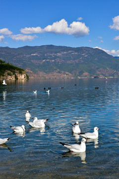 泸沽湖