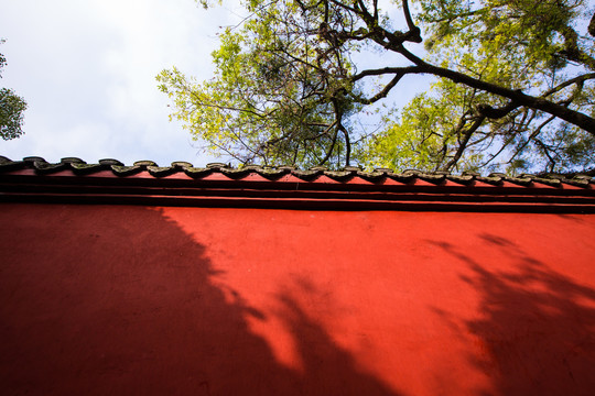 当阳玉泉寺