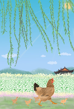 母雞帶小雞
