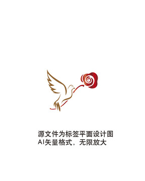 鴿子