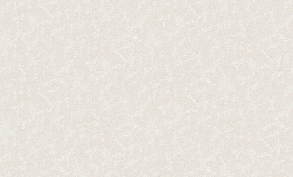 肌理紋理