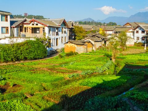 丽江乡村建筑