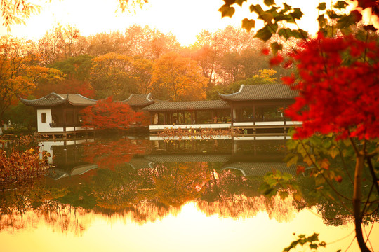 杭州西湖秋景