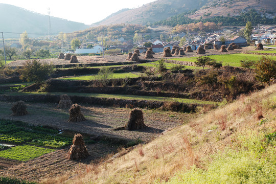 山村早晨