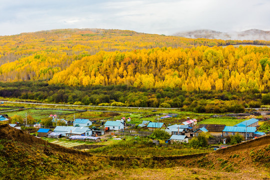 秋季森林山村清晨