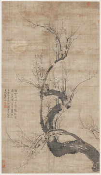 王冕滿(mǎn)月梅花圖