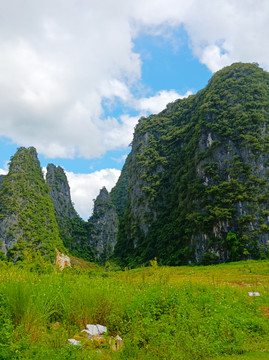 田野山岚