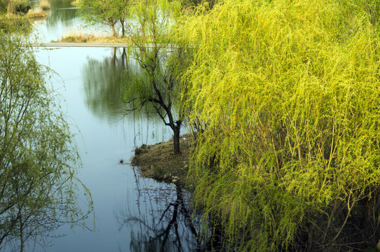 湿地公园