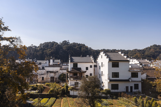 思溪延村风景