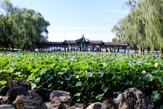 景观园林北京龙潭湖公园