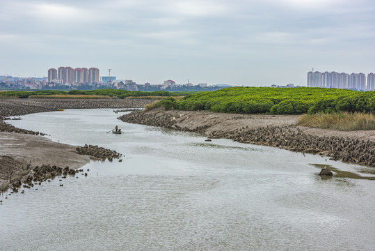 湿地滩涂