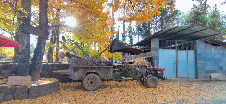 秋天的拖拉机