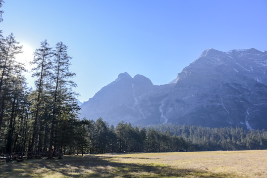 云南丽江玉龙雪山原始森林