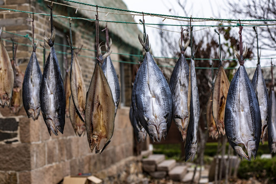 曬鲅魚