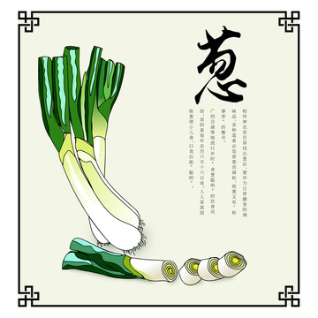 大葱食材插画高端