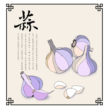 大蒜食材插畫高端